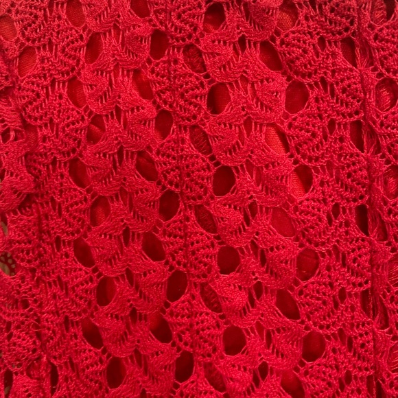 Rabbit Rabbit Rabbit Red Lace Fit & Flare Dress - Picture 4 of 7